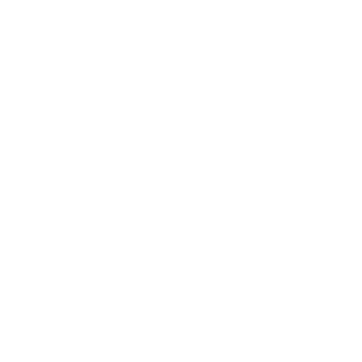 Expert Technicians & Professional Service